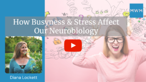 how stress affects neurobiology