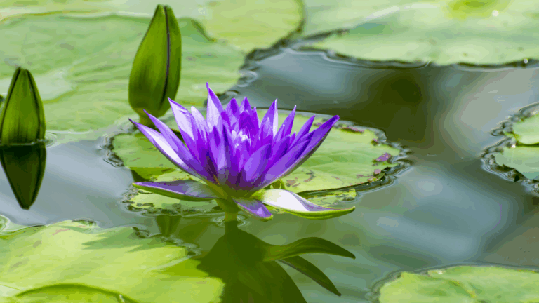 True Wealth Starts From Within