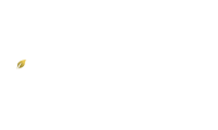 philanthroInvestors-v2-logo.png
